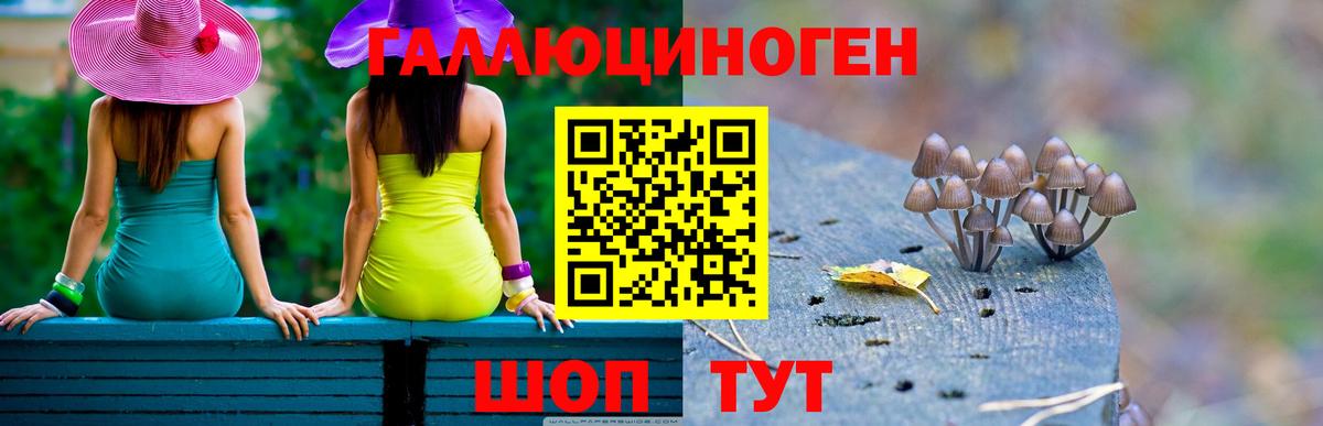 Галлюциногенные грибы мицелий Новосибирск