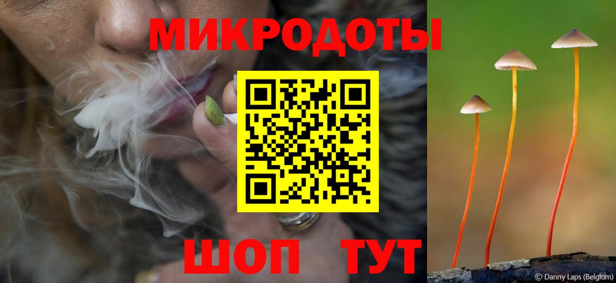 Псилоцибиновые грибы Cubensis  Вход с VPN  Новосибирск 